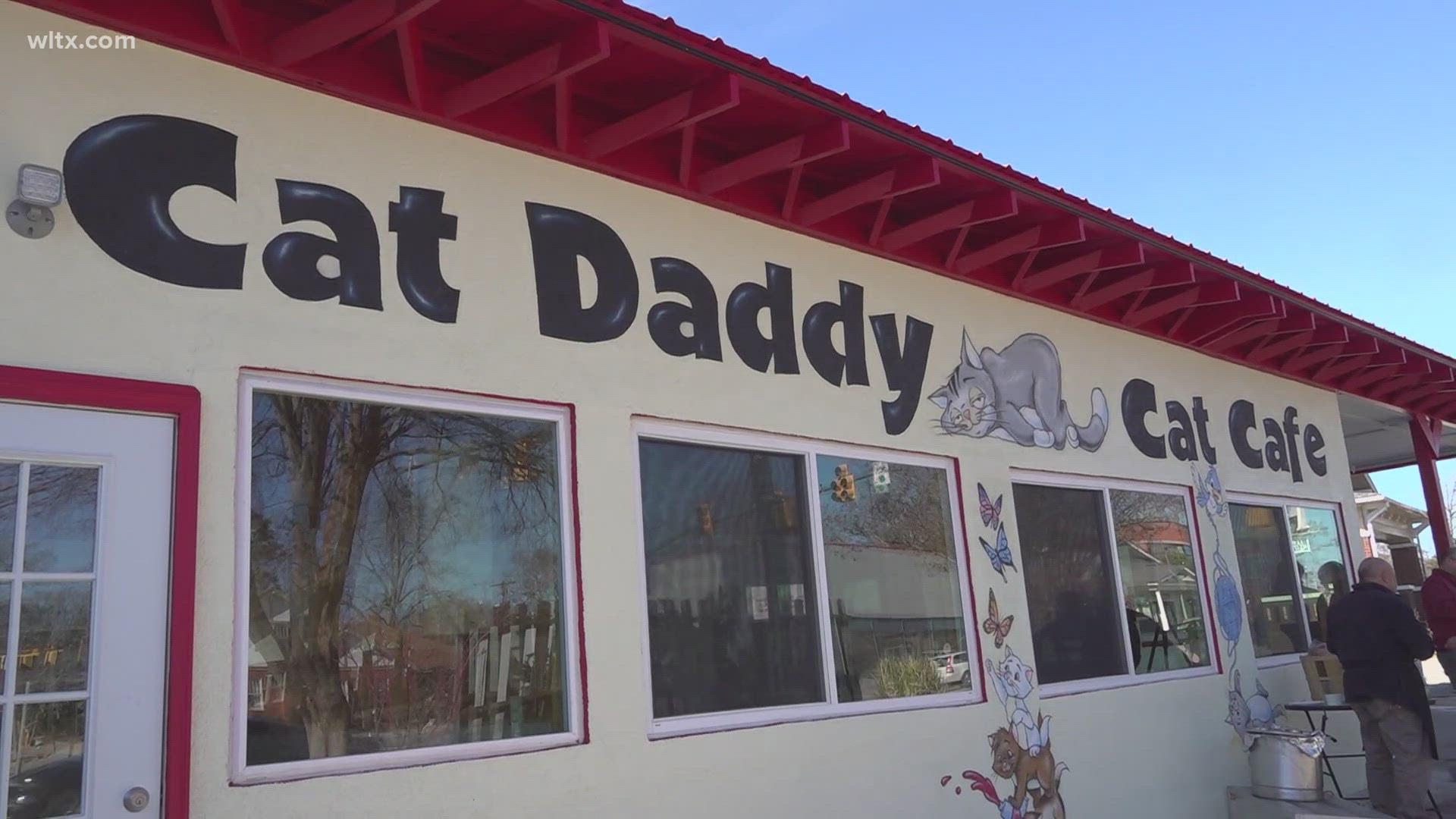 You can get coffee and play with a cat at the new Cat Daddy Cafe on Main Street. 