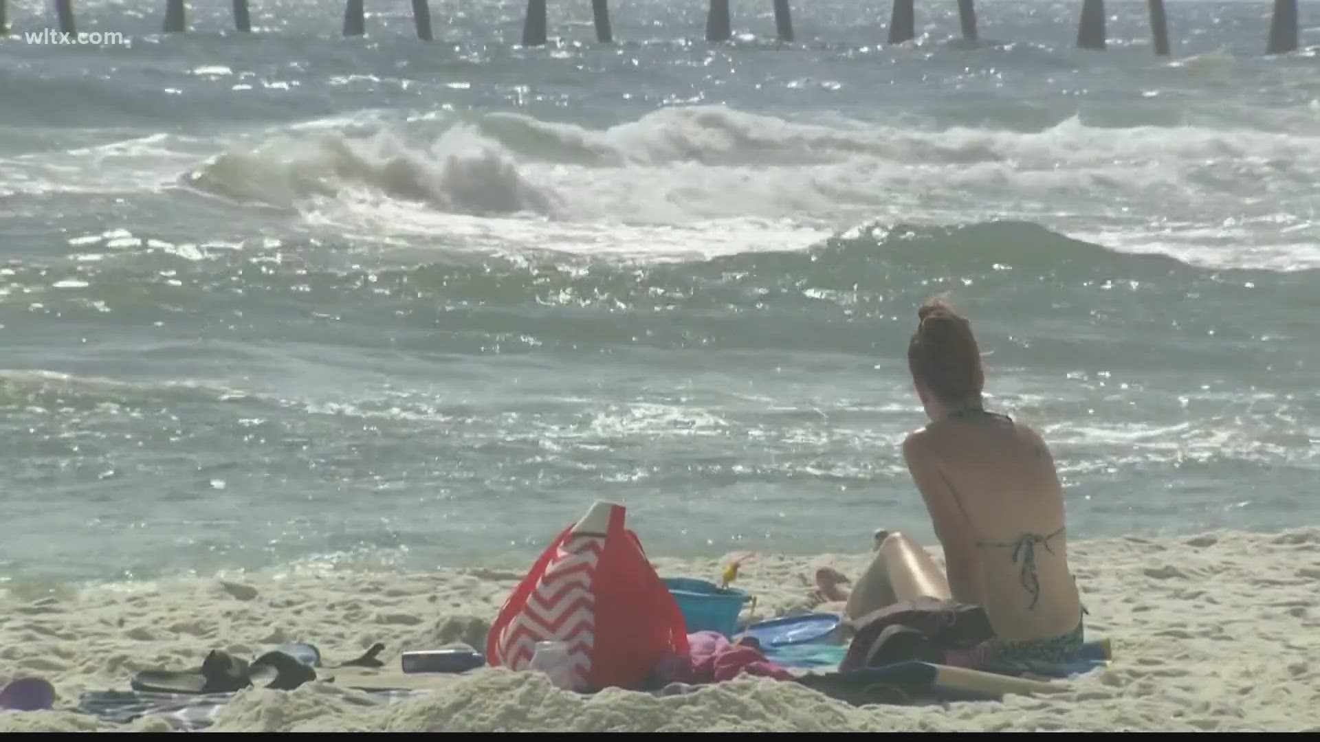 Studies have found a connection between chemicals commonly found in sunscreen and a decline in ocean ecosystems.