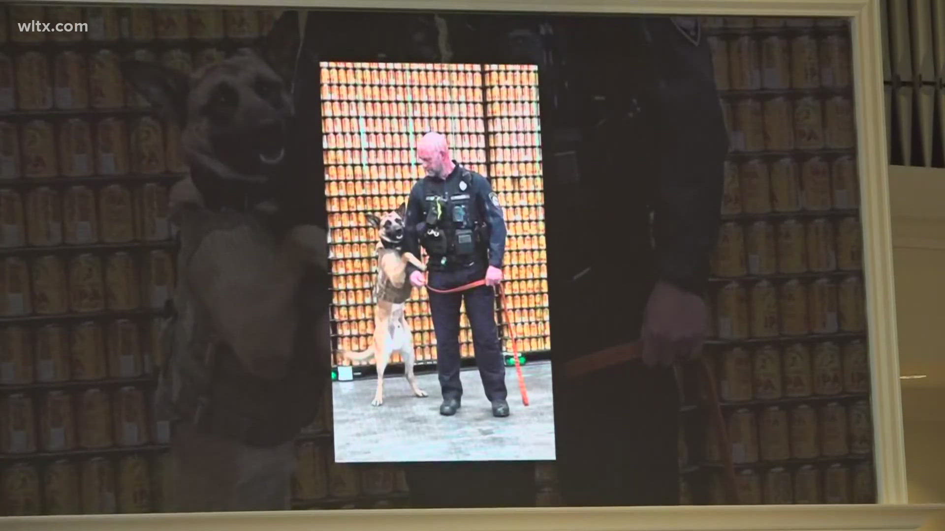 K-9 Bumi with the Richland County Sheriff's Department was laid to rest at the Riverland Hills Baptist Chruch in Irmo.  