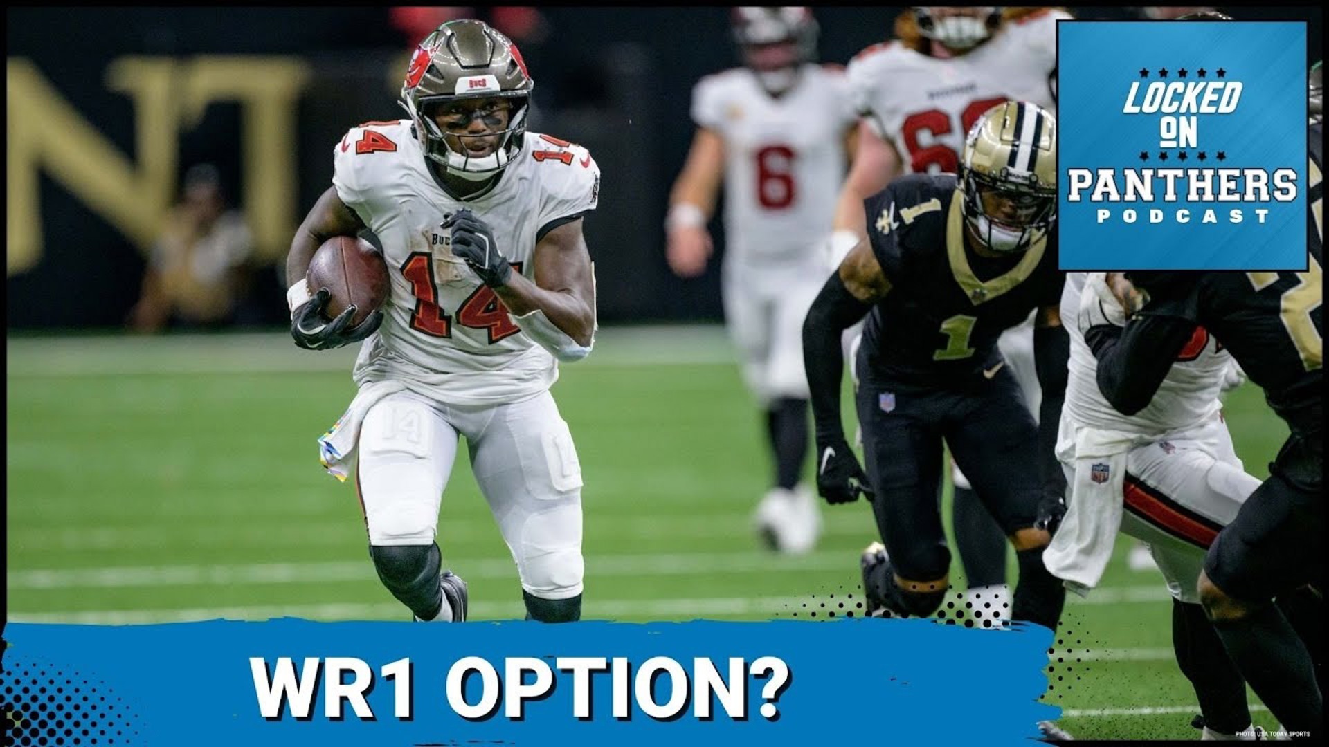 The Carolina Panthers have some important decisions to make once free agency and the NFL Draft come around.